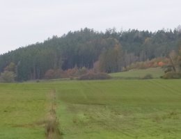 Auction Pozemky v k.ú. Kalenice, okr. Strakonice image