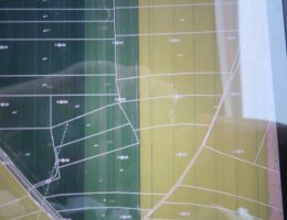 Auction Dražba podílu 1/3 na pozemku, Řestoky, okr. Chrudim image