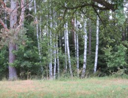 Auction Dražba id. spol. podílu 1/4 souboru nesousedících pozemků k.ú. Kejžlice image