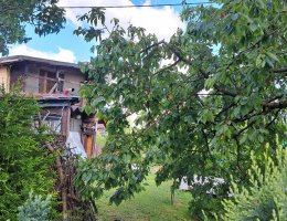 Auction Dražba podílu 1/2 na stavbě bez č.p./č.e. na stavební parcele 1249, Hroznětín, okr. Karlovy Vary image