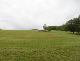 Auction Dražba id. spol. podílu 3/16 pozemku (travní porost) k.ú. Dolní Žandov image