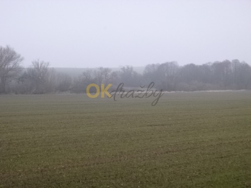 Auction Podíl 1/4 na pozemcích v k.ú. Kolešovice, okr. Rakovník image