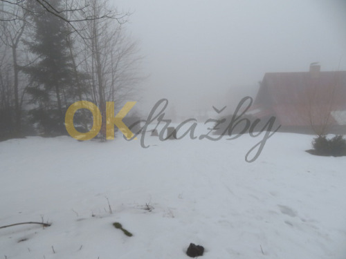 Auction pozemek č. 1227/4 (trvalý travní porost) - Příchovice u Kořenova image