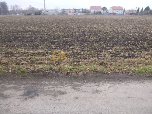 Auction Pozemek v k.ú. Bedihošť, okr. Prostějov image