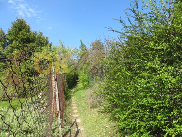 Ostatní