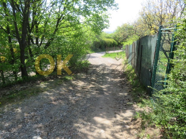 Ostatní