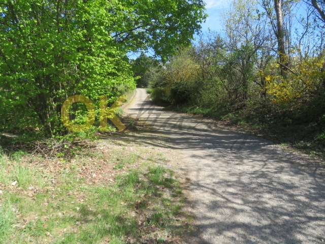 Ostatní