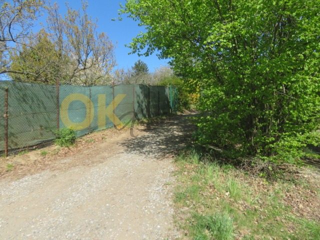 Ostatní