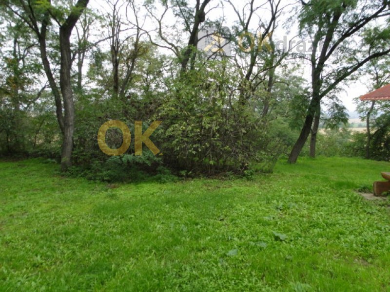 Ostatní
