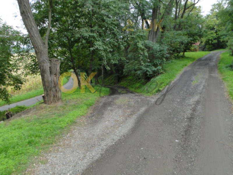 Ostatní