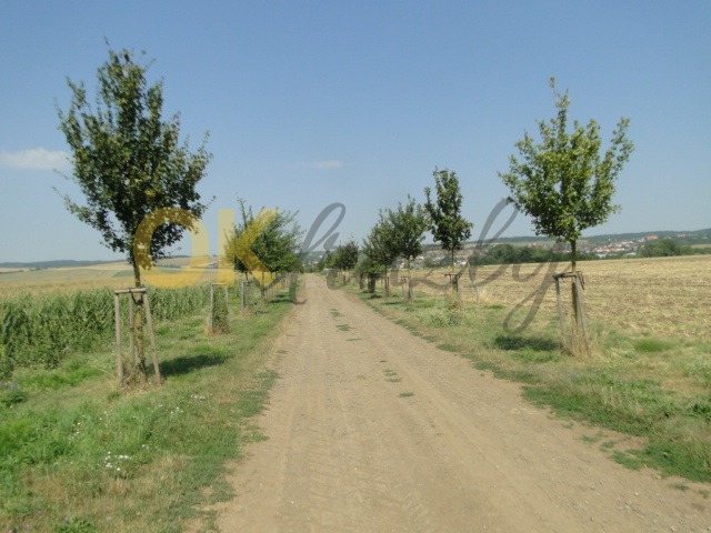 Ostatní