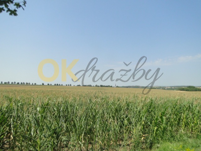 Ostatní