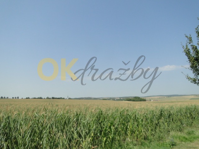 Ostatní