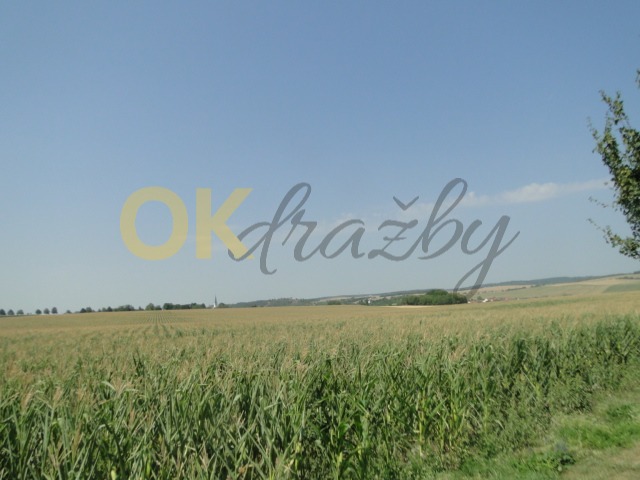 Ostatní