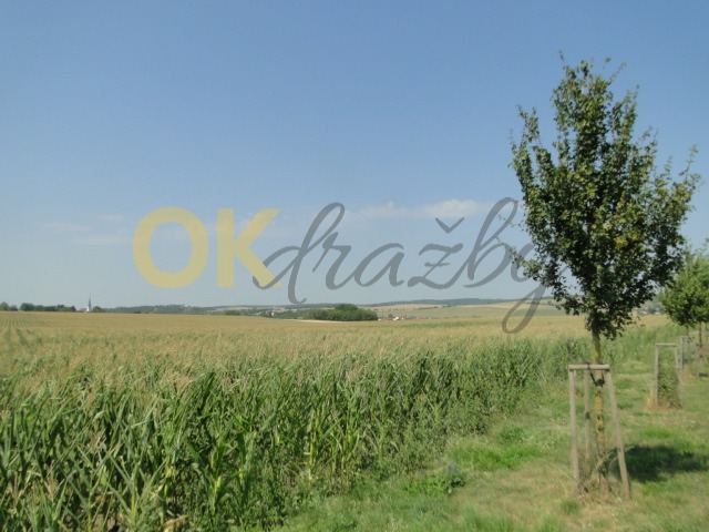 Ostatní