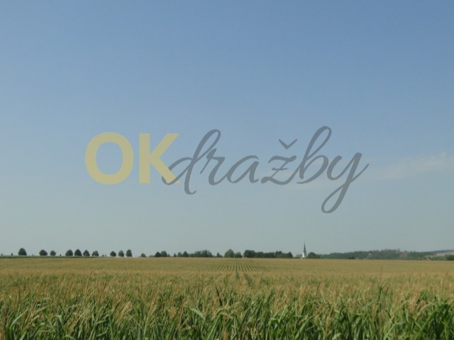 Ostatní