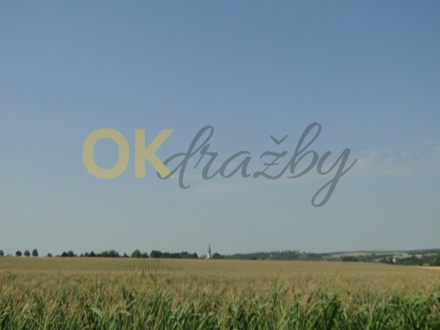 Ostatní