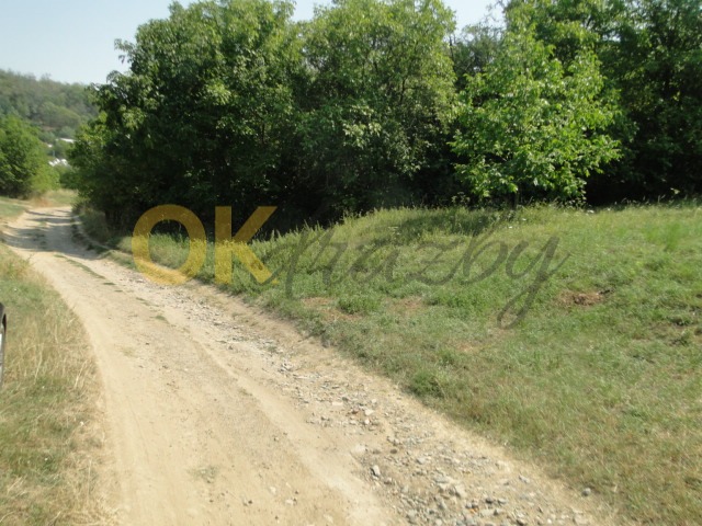 Ostatní