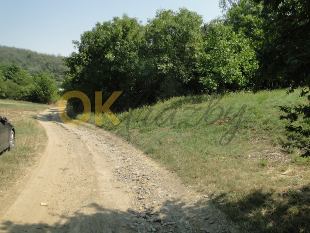Ostatní