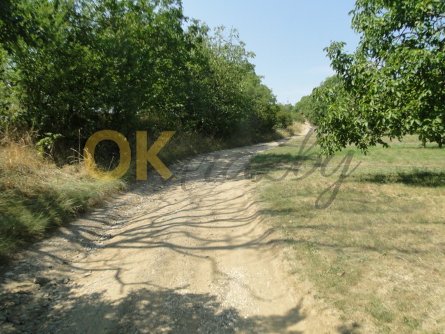 Ostatní
