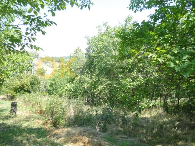 Ostatní