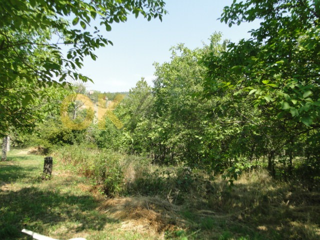 Ostatní