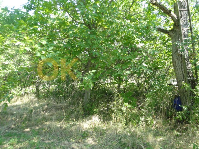 Ostatní