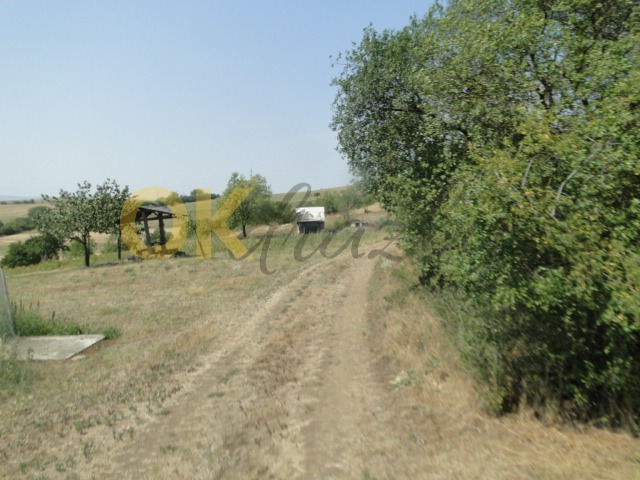 Ostatní