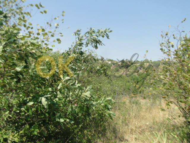 Ostatní