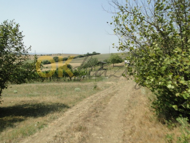 Ostatní