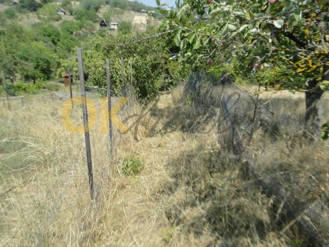 Ostatní