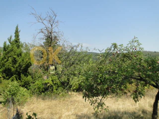 Ostatní