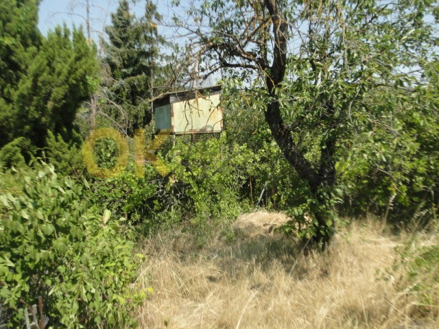Ostatní
