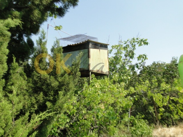 Ostatní