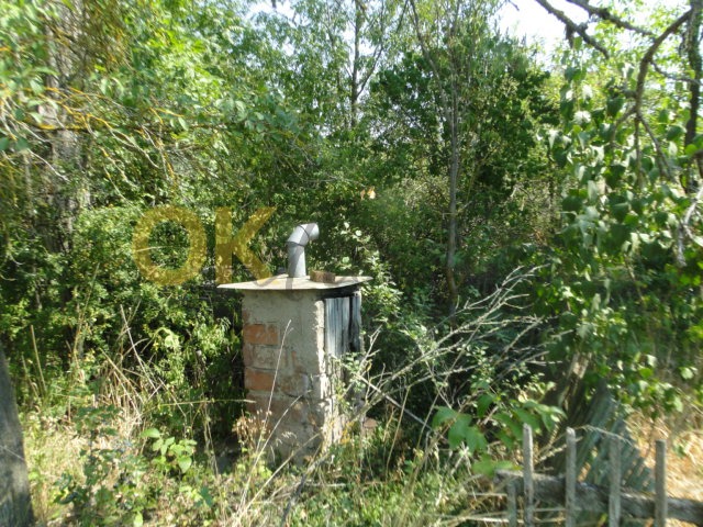 Ostatní