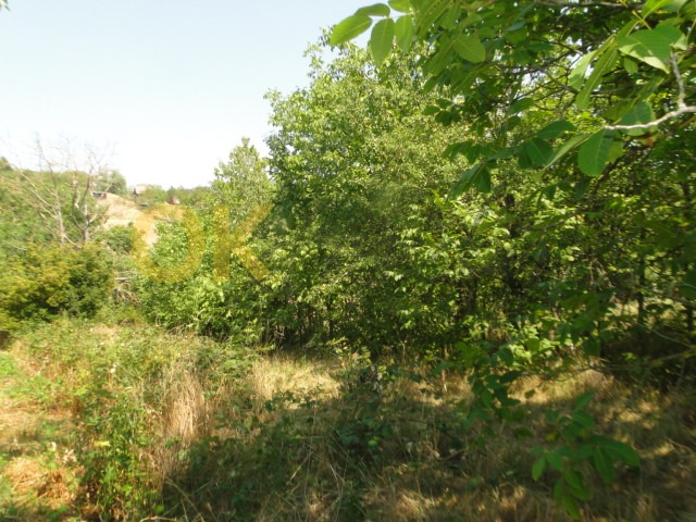 Ostatní