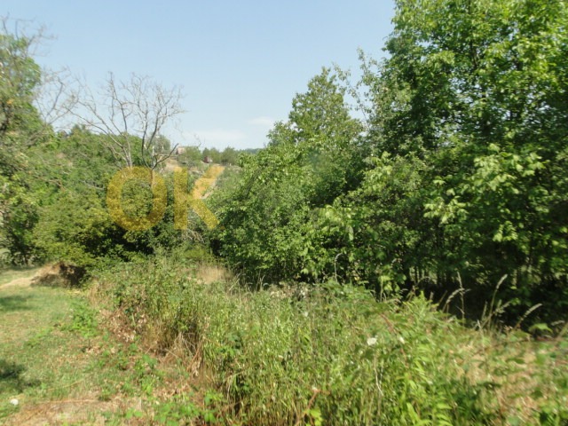 Ostatní