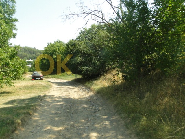 Ostatní