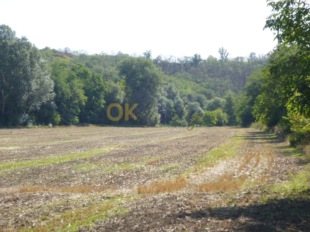 Ostatní