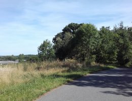 Auction Ideální 1/3 zeleně obec Hradiště-Záhorčičky image