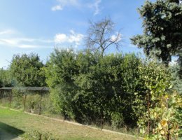 Auction OPAKOVANÁ DRAŽBA - id. 1/2 pozemku v Brně - Řečkovicích, okr. Brno - město image