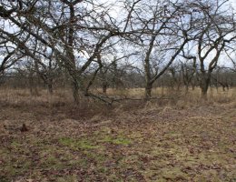 Auction Spoluvlastnický podíl ¼ na pozemku ovocného sadu v obci Štěchov, okres Blansko image