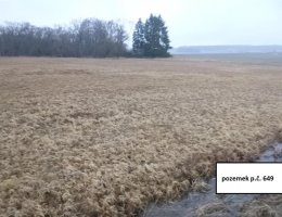 Auction Dražba pozemku v k.ú. Žďár u Protivína, okres Písek image