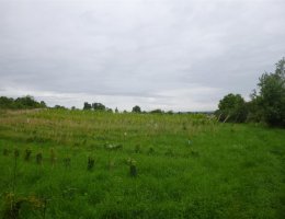 Auction ELEKTRONICKÁ DRAŽBA OPAKOVANÁ! Pozemky, obec Kutná Hora, okres Kutná Hora image