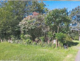 Auction Podíl na pozemcích v k.ú. Guty, okr. Frýdek-Místek image