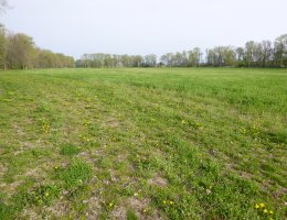 Auction Podíl na pozemcích v k.ú. Brčekoly, okr. Chrudim image