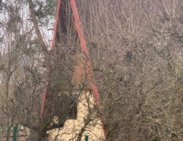 Auction 1/8 rekreační chaty v obci Psáry, k.ú. Dolní Jirčany, okres Praha-západ image