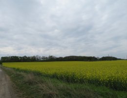 Auction Dražba podílu 1/3 na pozemcích Veltrusy, okr. Mělník image