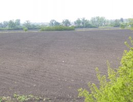 Auction ELEKTRONICKÁ DRAŽBA! Pozemky (orná půda), podíl id.1/2, obec Mikulčice, okres Hodonín image