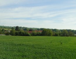 Auction Pozemek v Drysicích, okr. Vyškov image